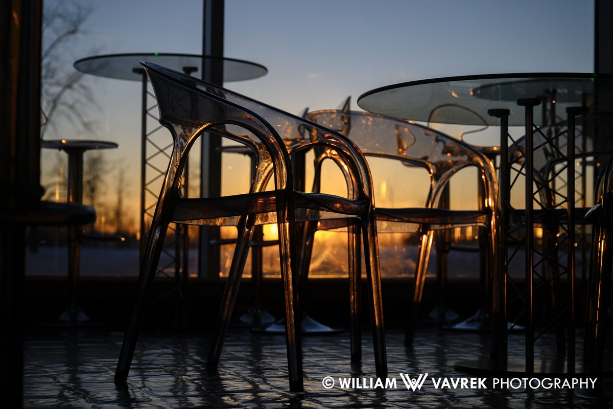 William Vavrek tweet media