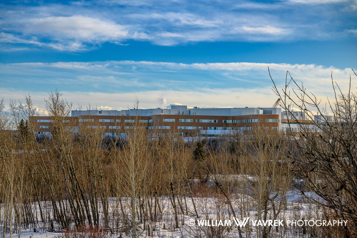 William Vavrek tweet media