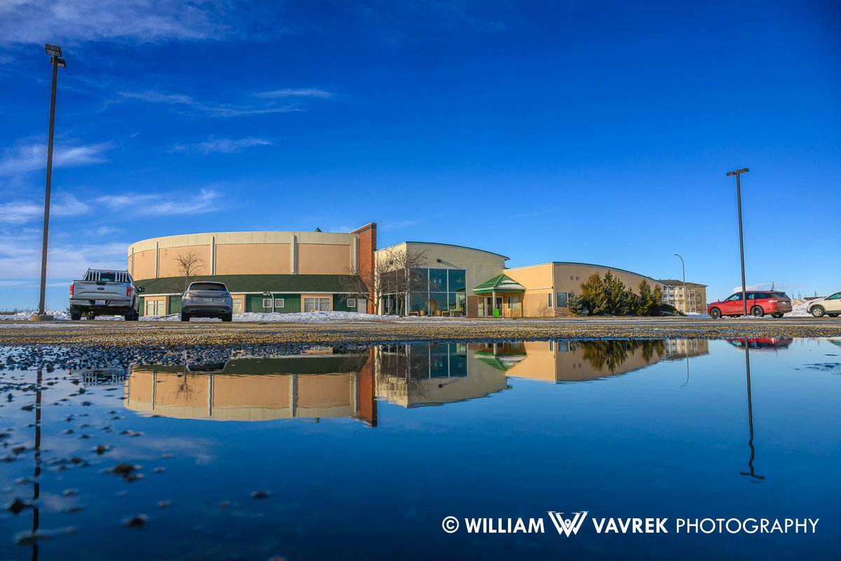 William Vavrek tweet media