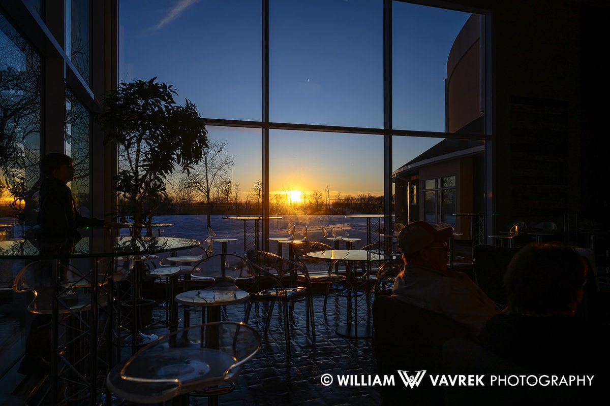 William Vavrek tweet media