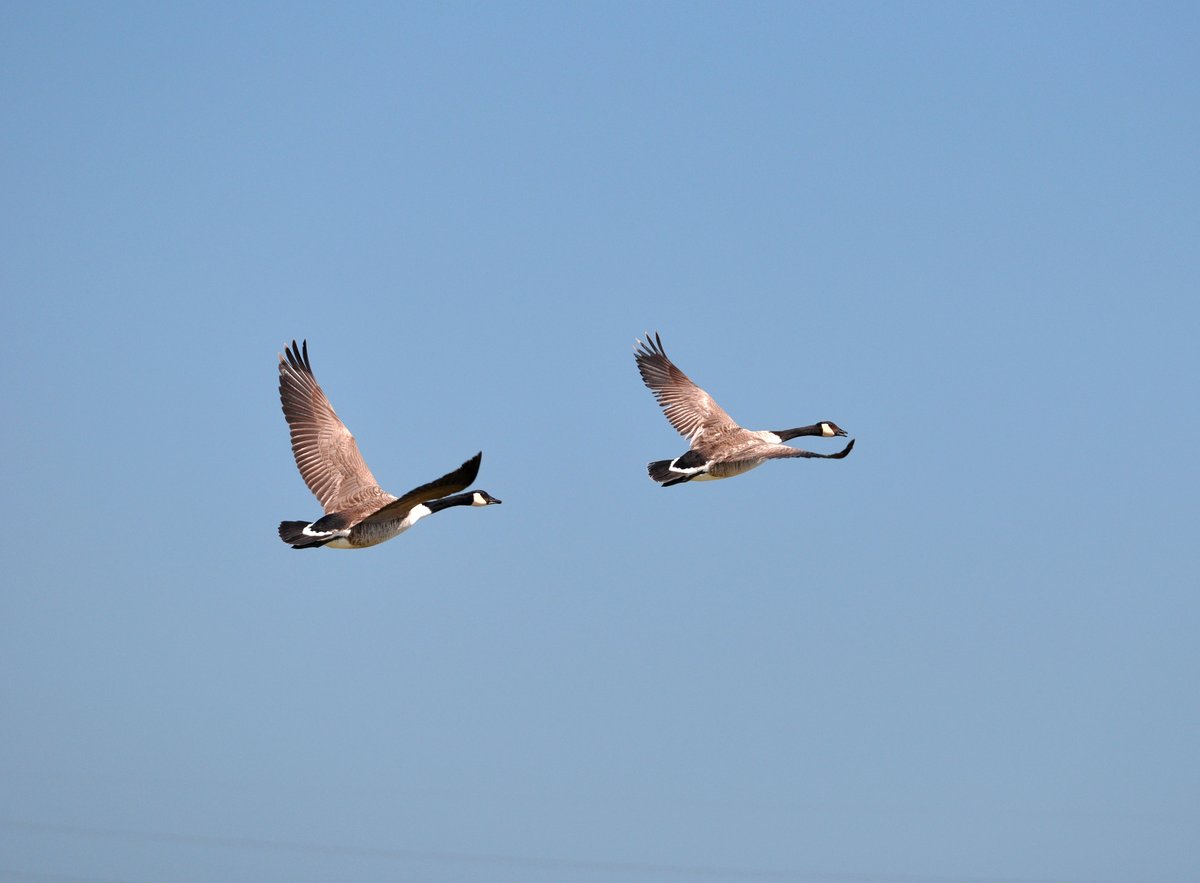 Algonquin Provincial Park tweet media
