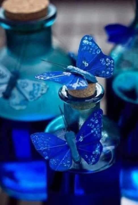 H🦅N🦅D🦅N tweet media