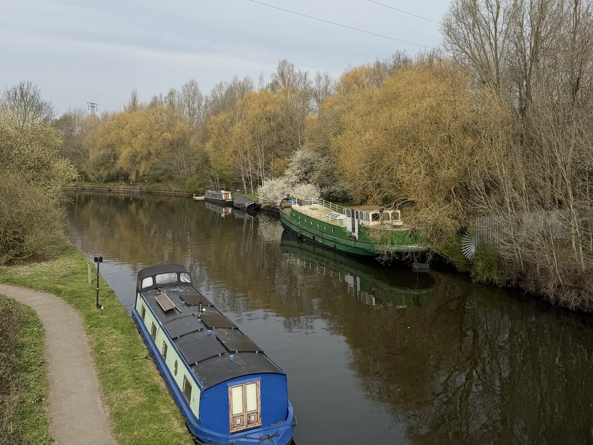 rly cool girl tweet media