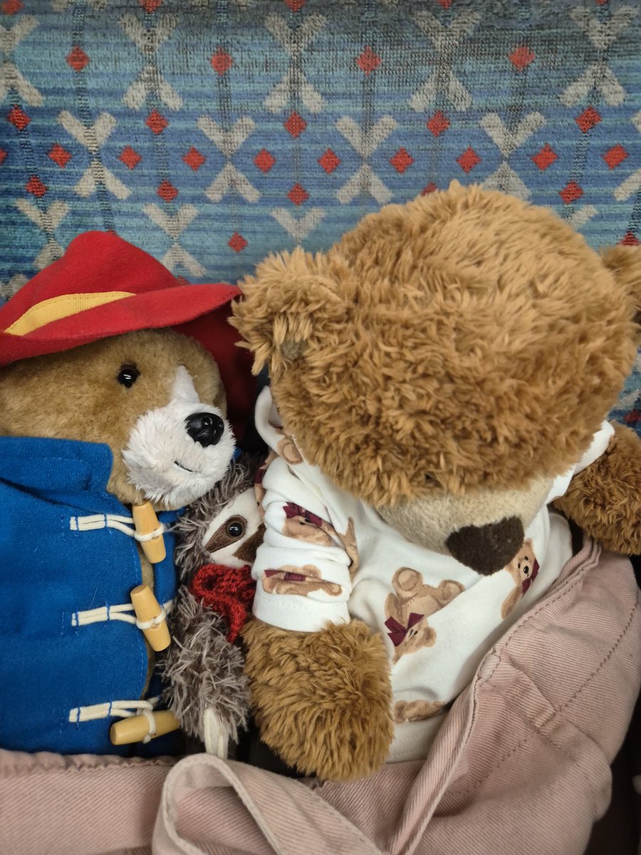 ann cooper tweet media