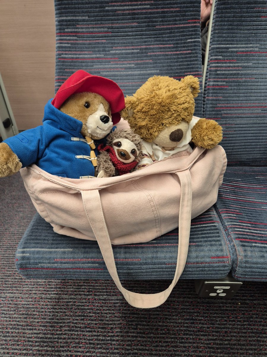 ann cooper tweet media