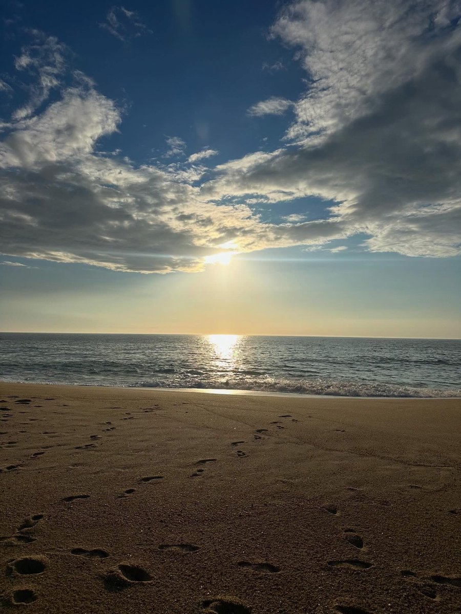 César Sá tweet media