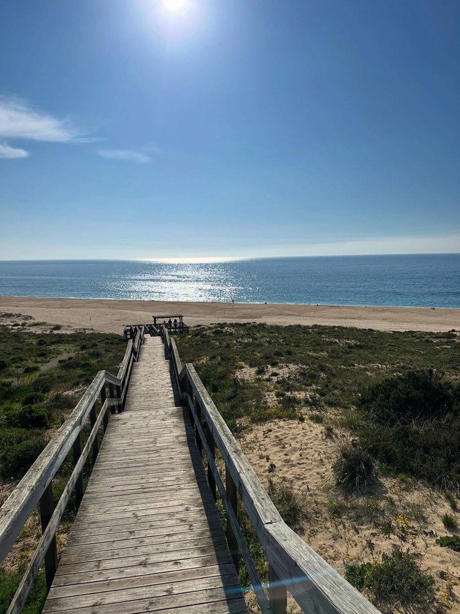 César Sá tweet media