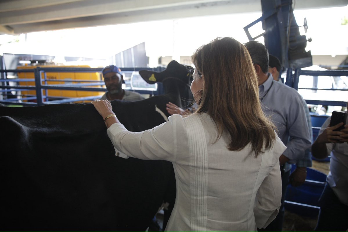 Vicepresidencia de la República Dominicana tweet media