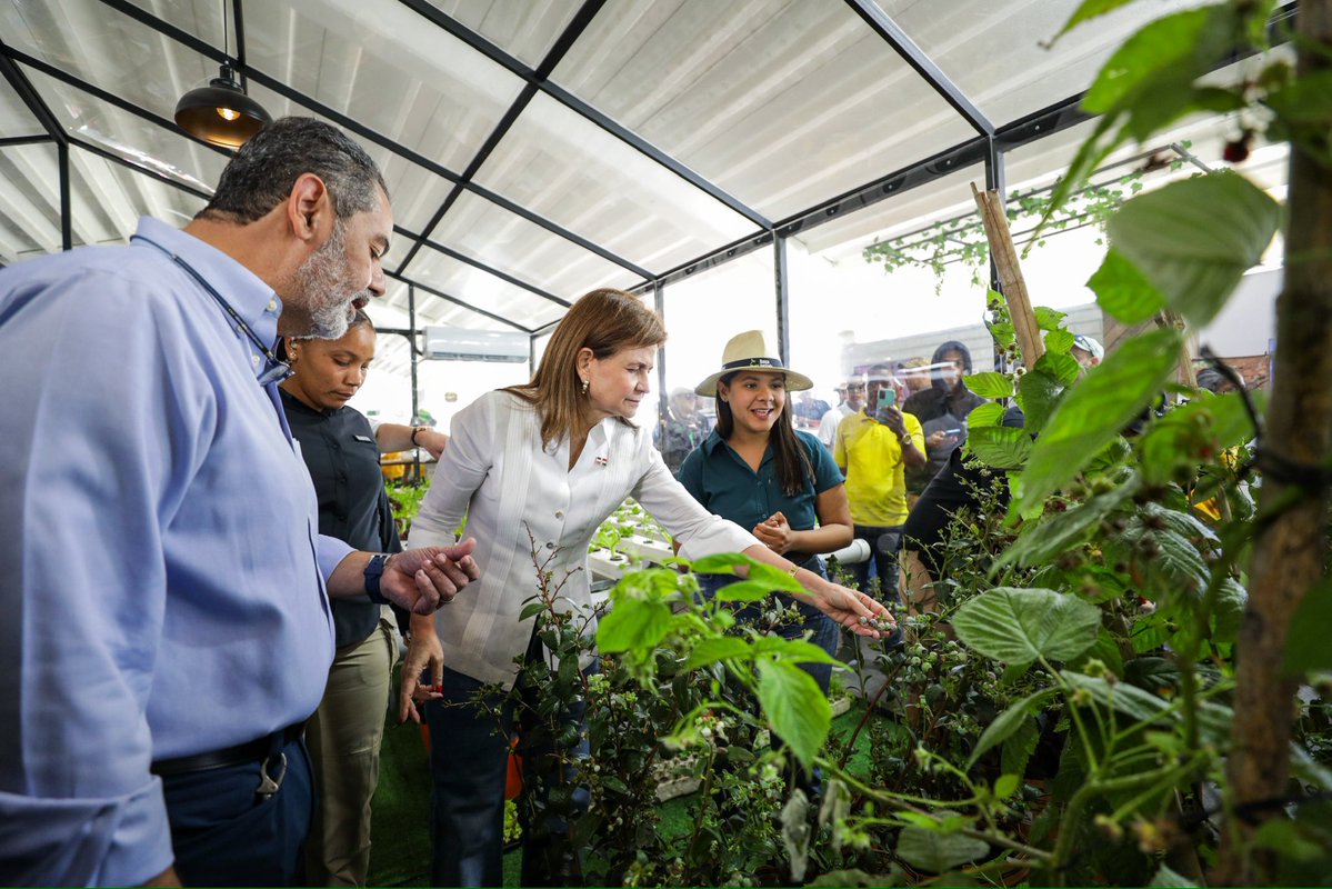 Vicepresidencia de la República Dominicana tweet media