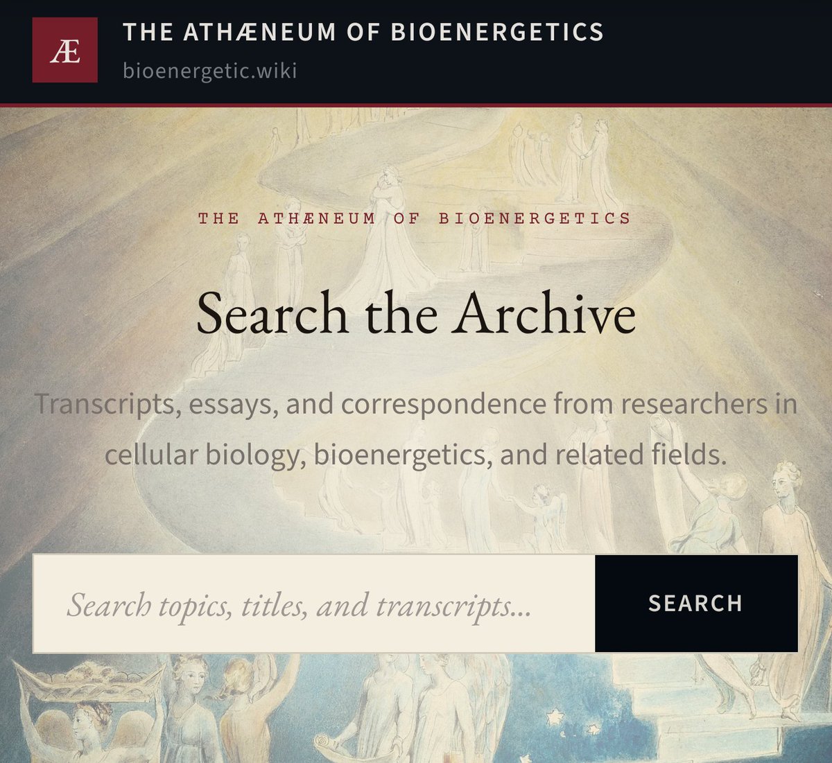 Gavin ✦ tweet media