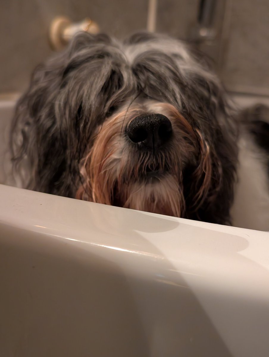 Tammy 🐾 Ministerin für Extremsport tweet media