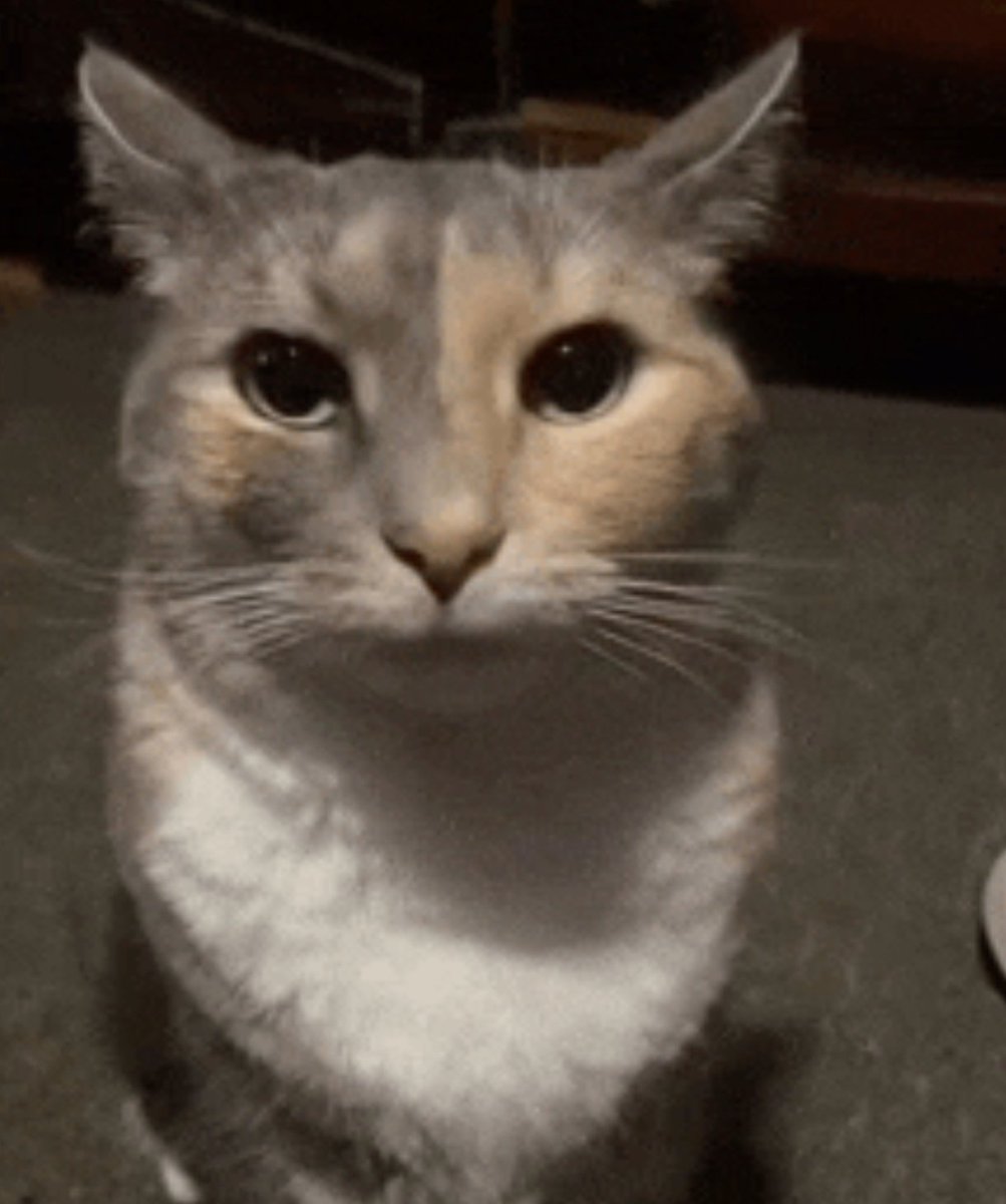 bëll7 (they/thëm) #ADL 03.27.26 tweet media