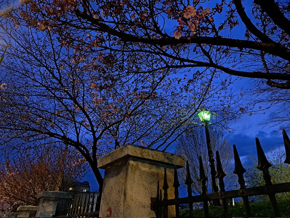 Icy / Ajsela Vidovic tweet media