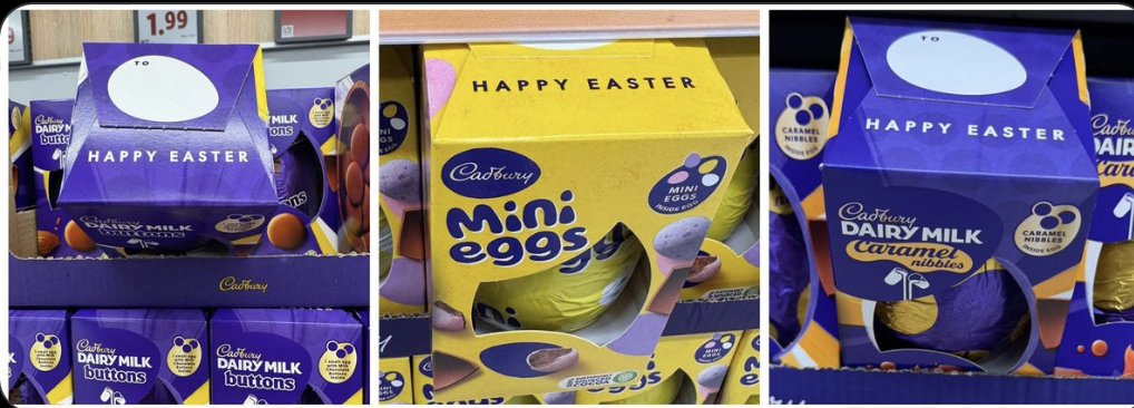 Patrick Ryan 🗯 tweet media