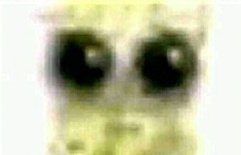 ‍ ‍ 𝒅reamweaver, tweet media