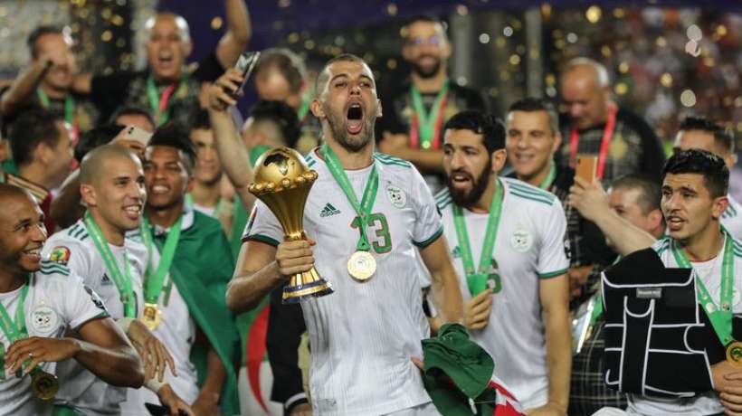 Renard Des surfaces tweet media