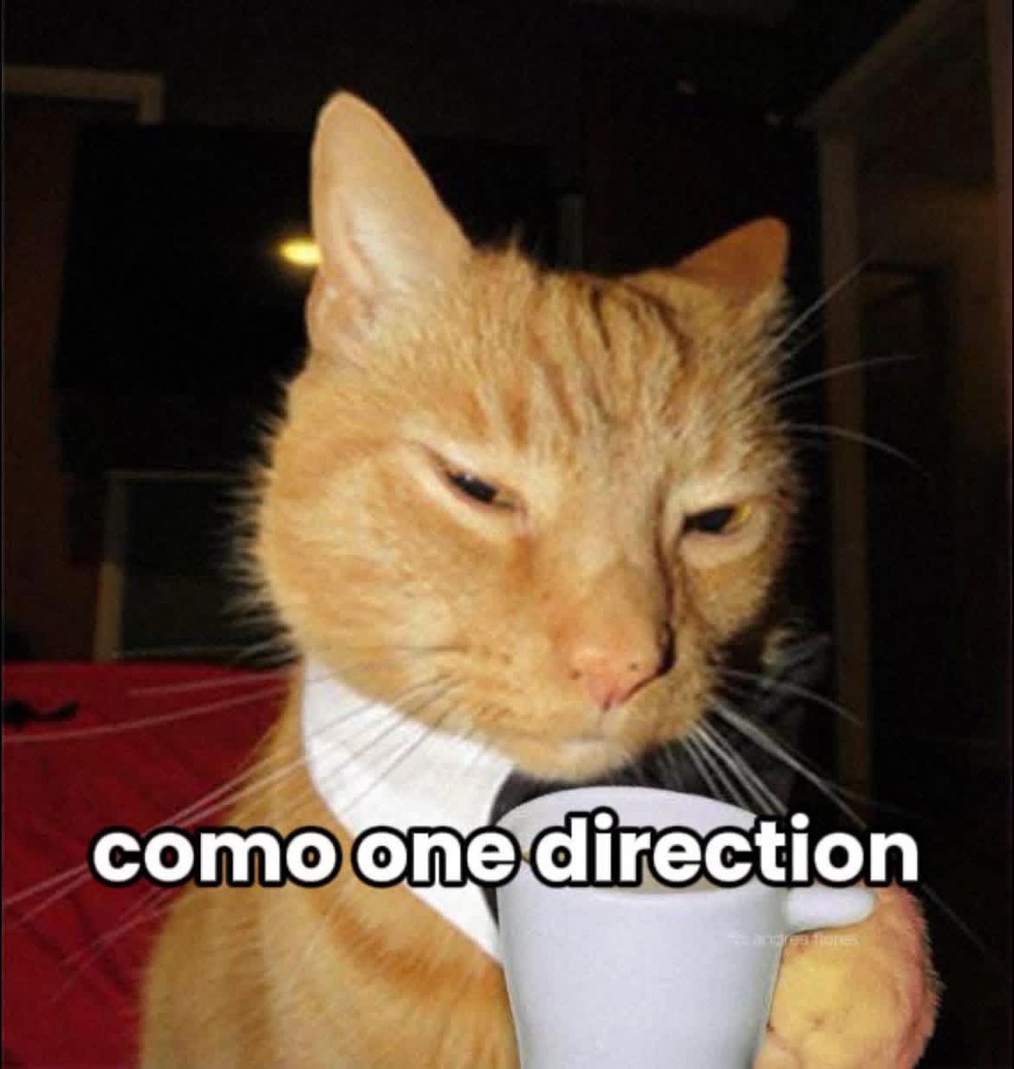 acervo oned tweet media