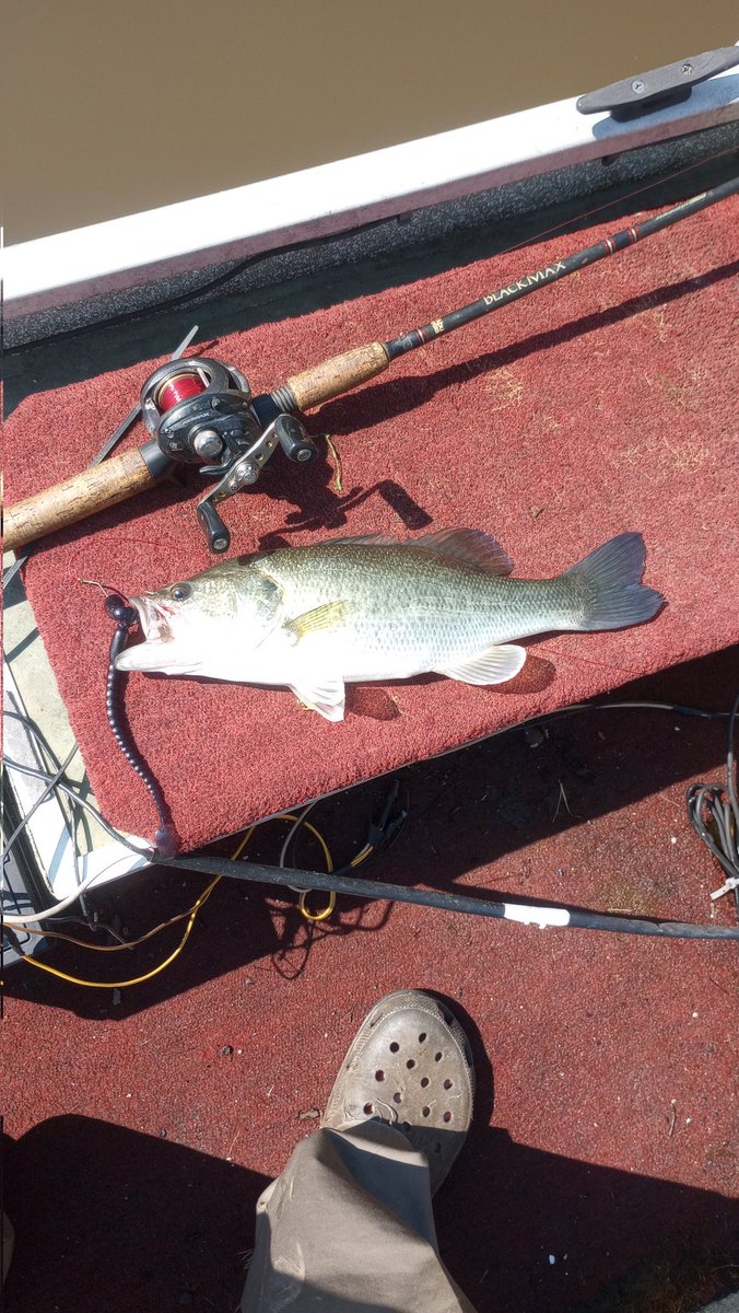 Dean Dean Butterbean tweet media