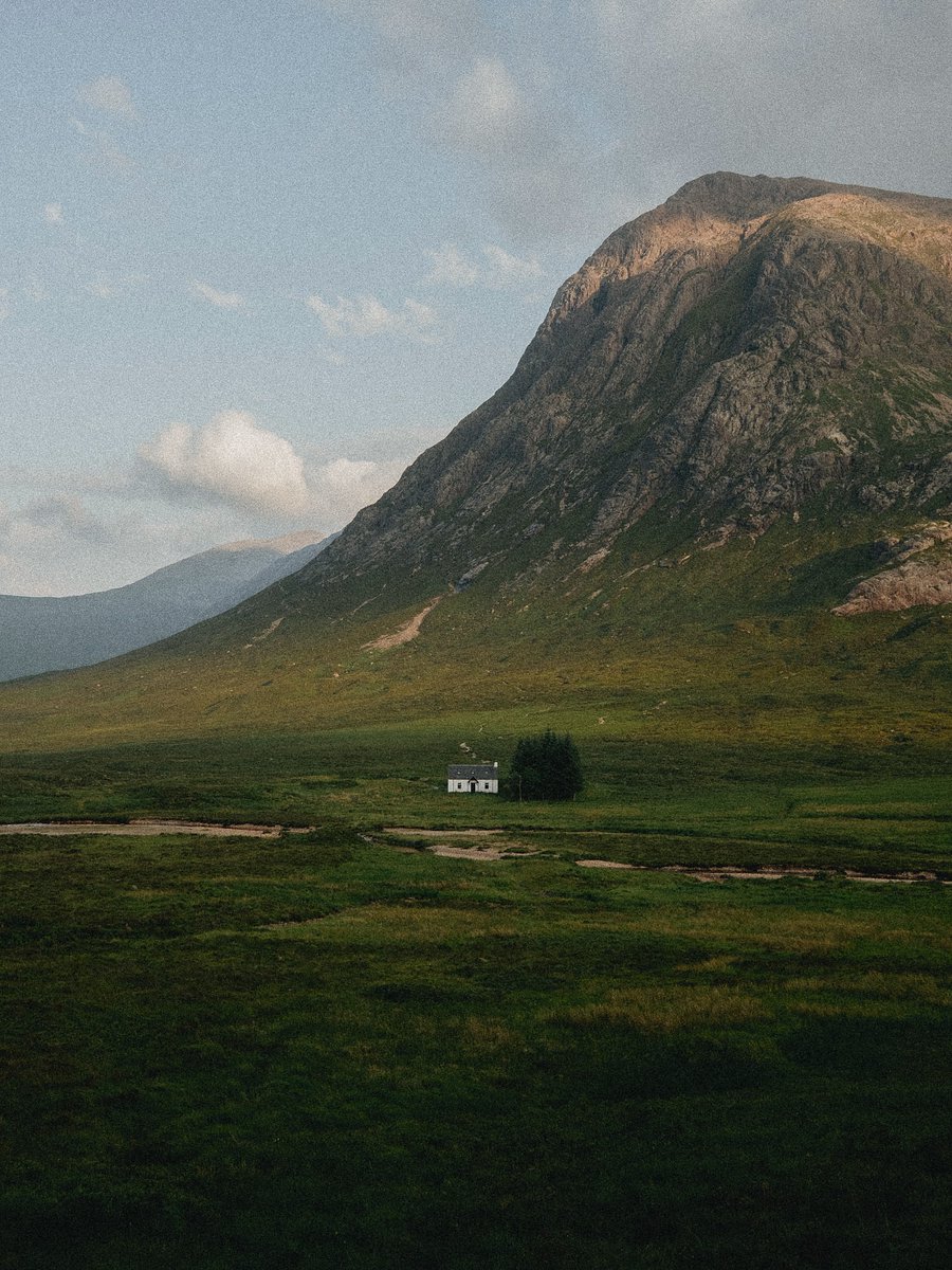 Purely Green tweet media