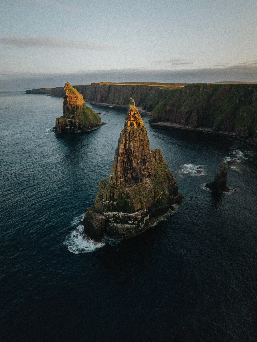 Purely Green tweet media