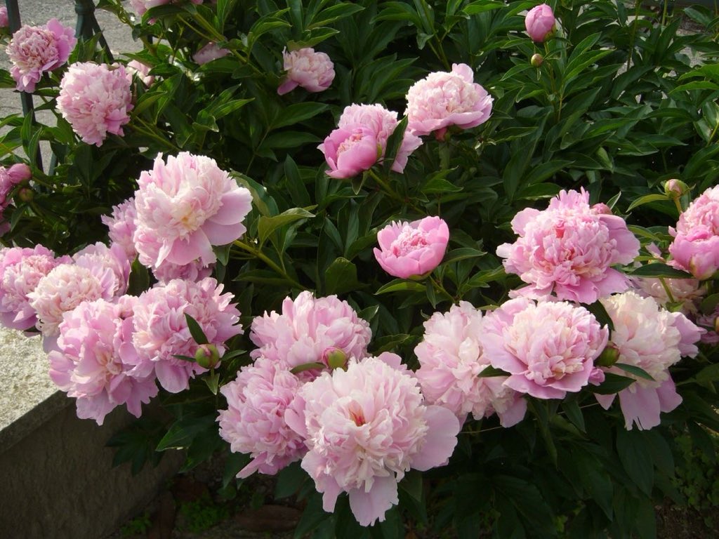 Lily ✮⋆˙ tweet media