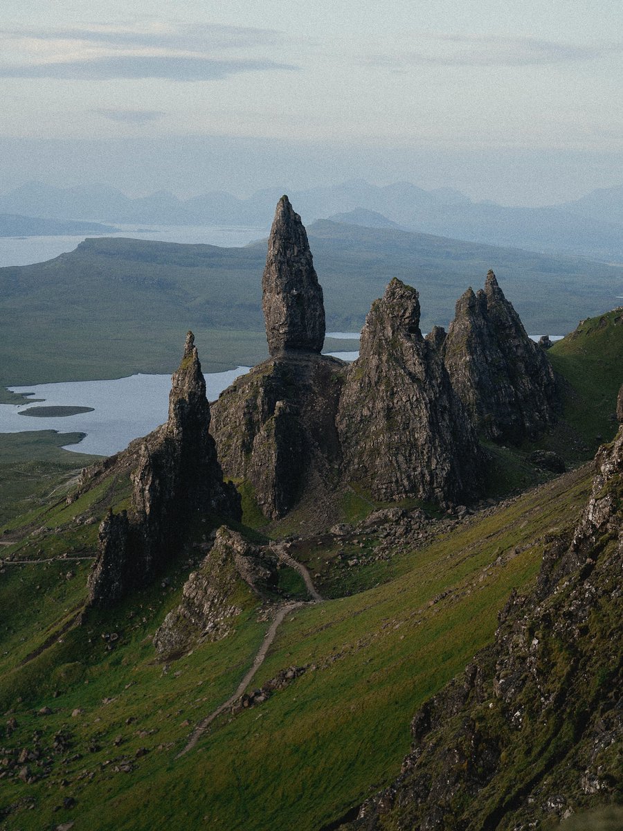 Purely Green tweet media