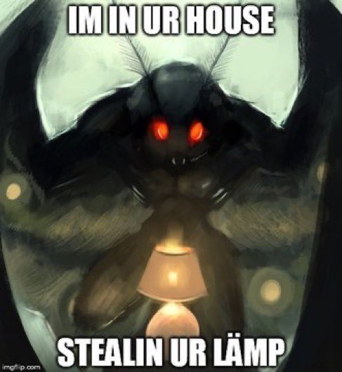Mothman of shedtwt (@moth_to_a_lamp) / Posts / X