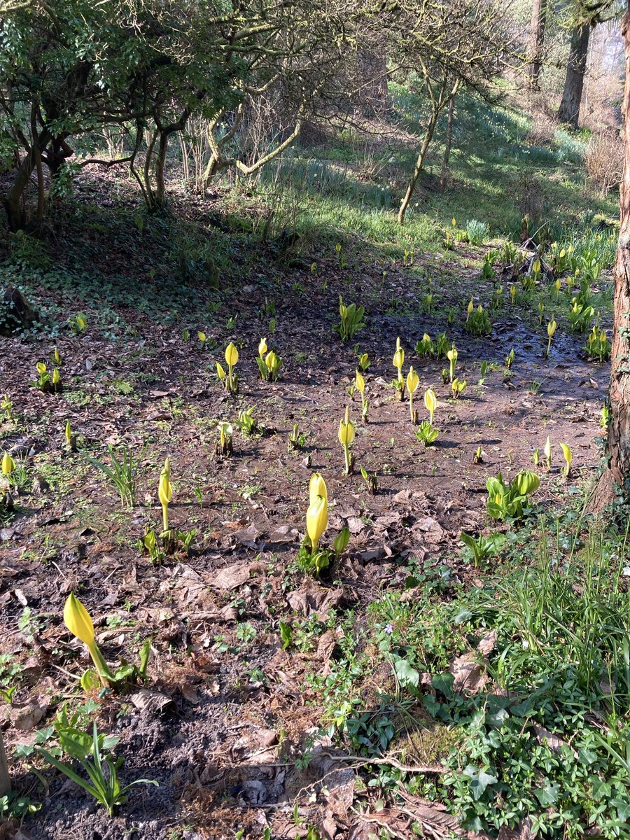 Samantha tweet media