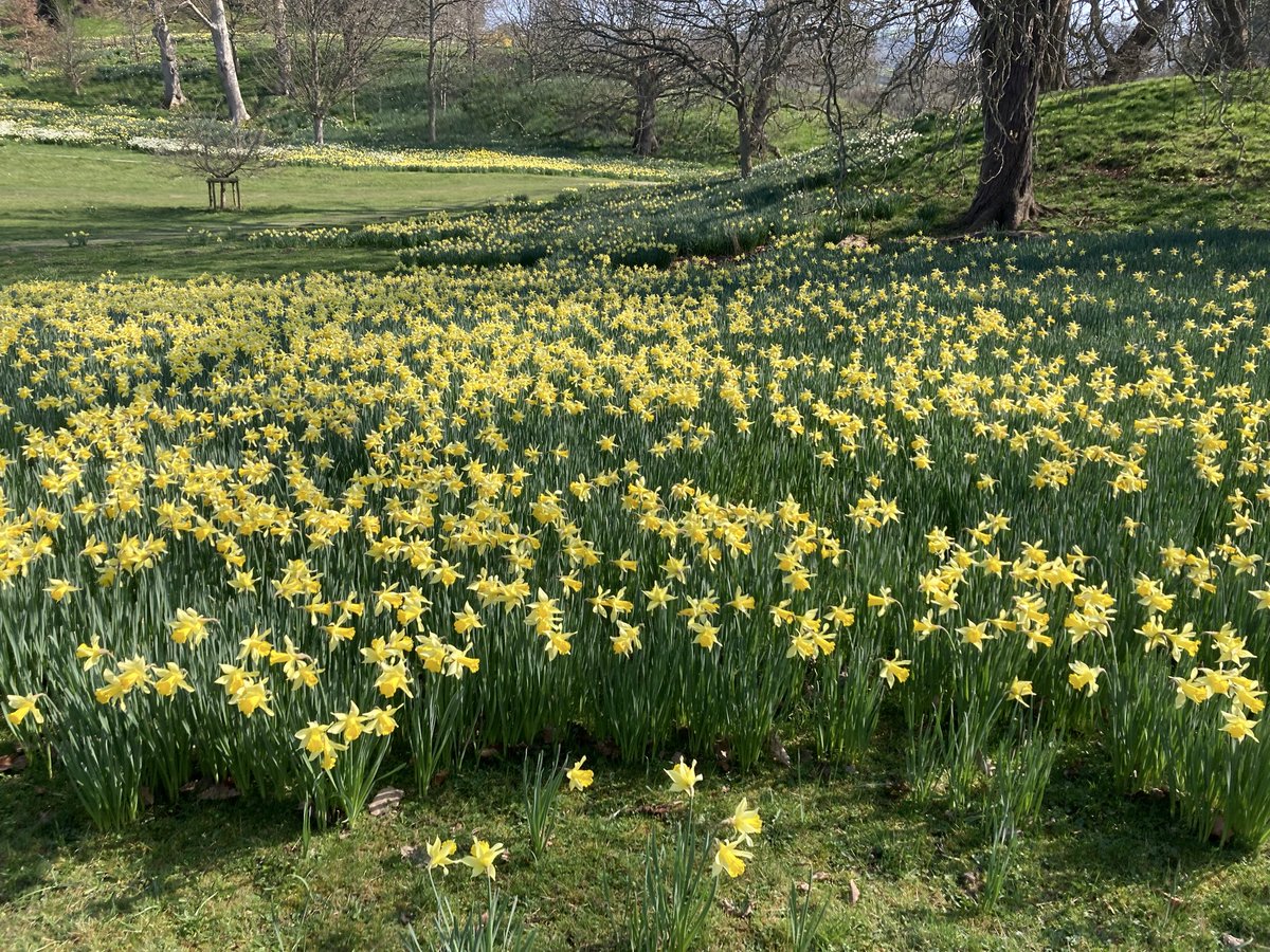 Samantha tweet media