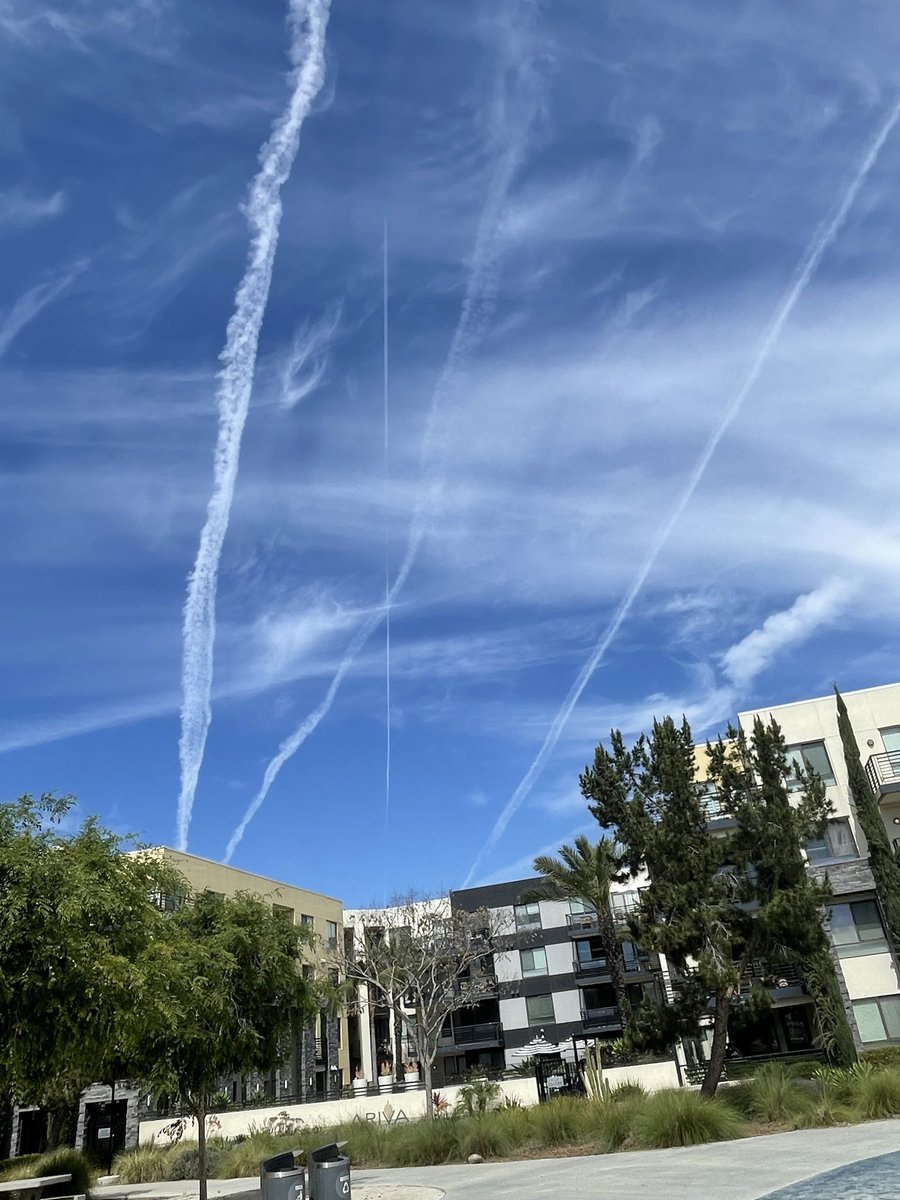 Tom Passon tweet media