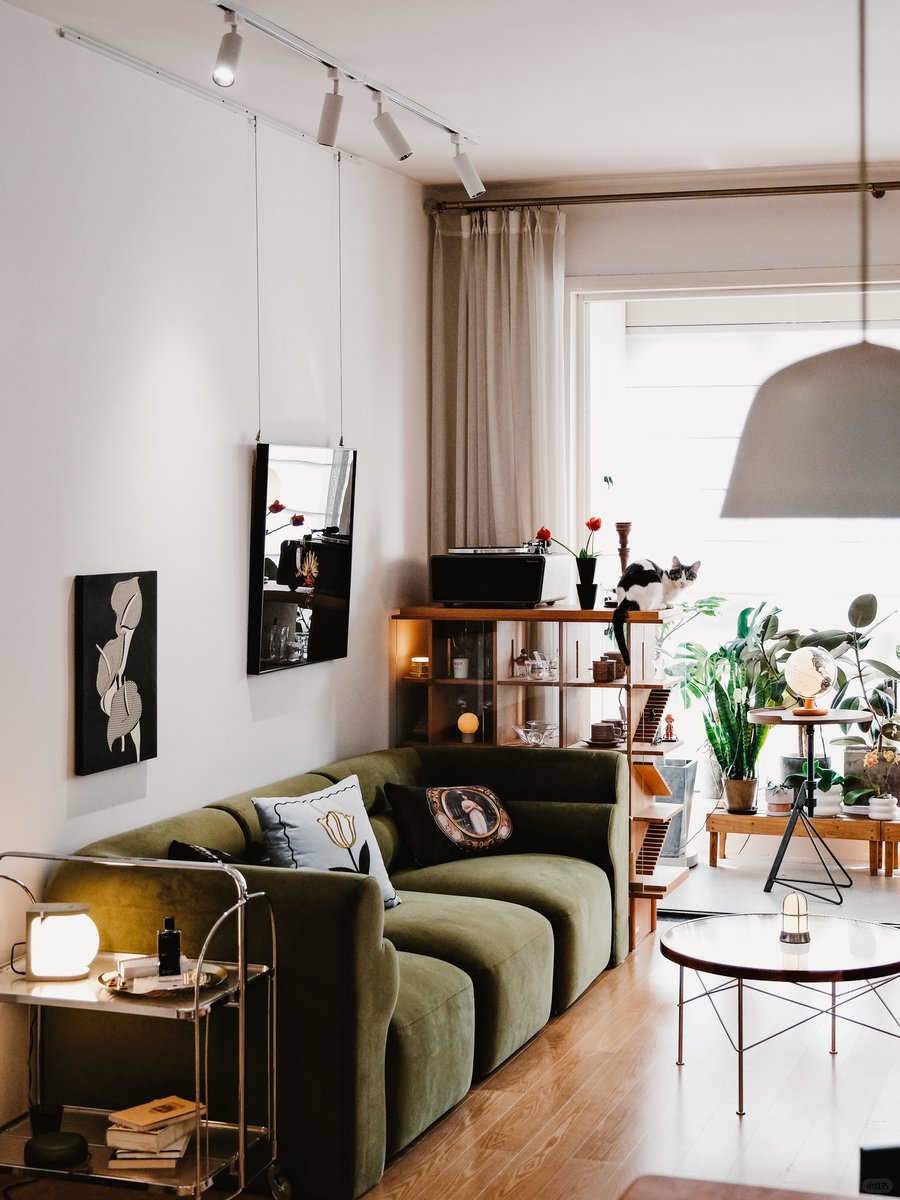 Thiago Curty tweet media