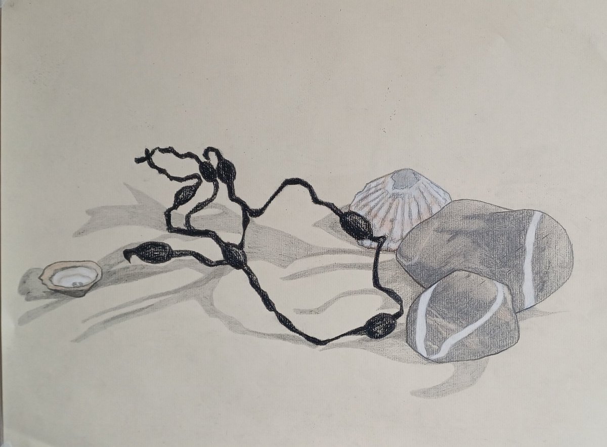 Jo Hatty tweet media