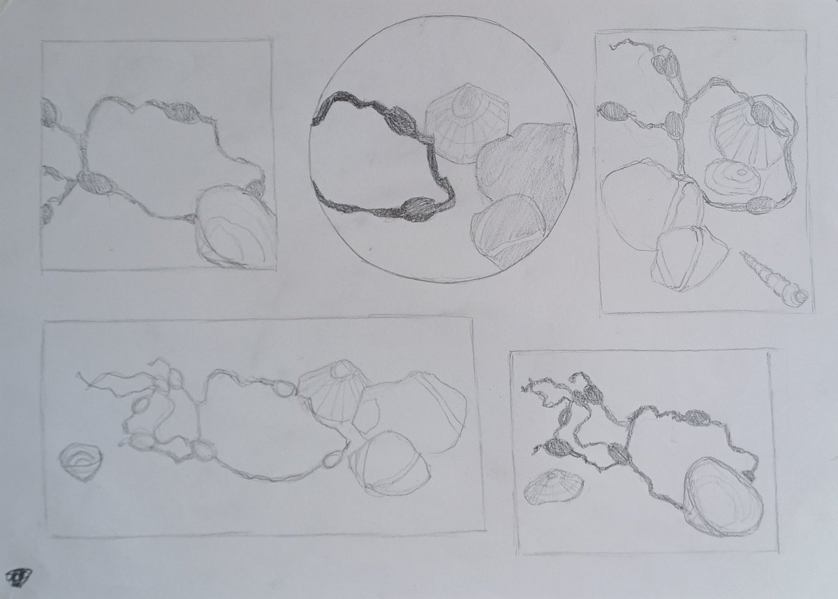 Jo Hatty tweet media