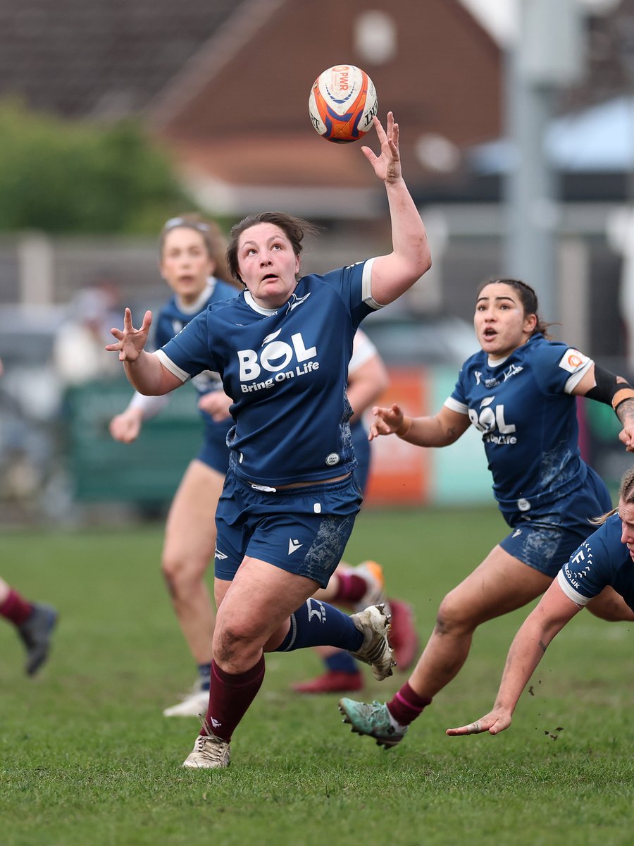 Sale Sharks Women tweet media