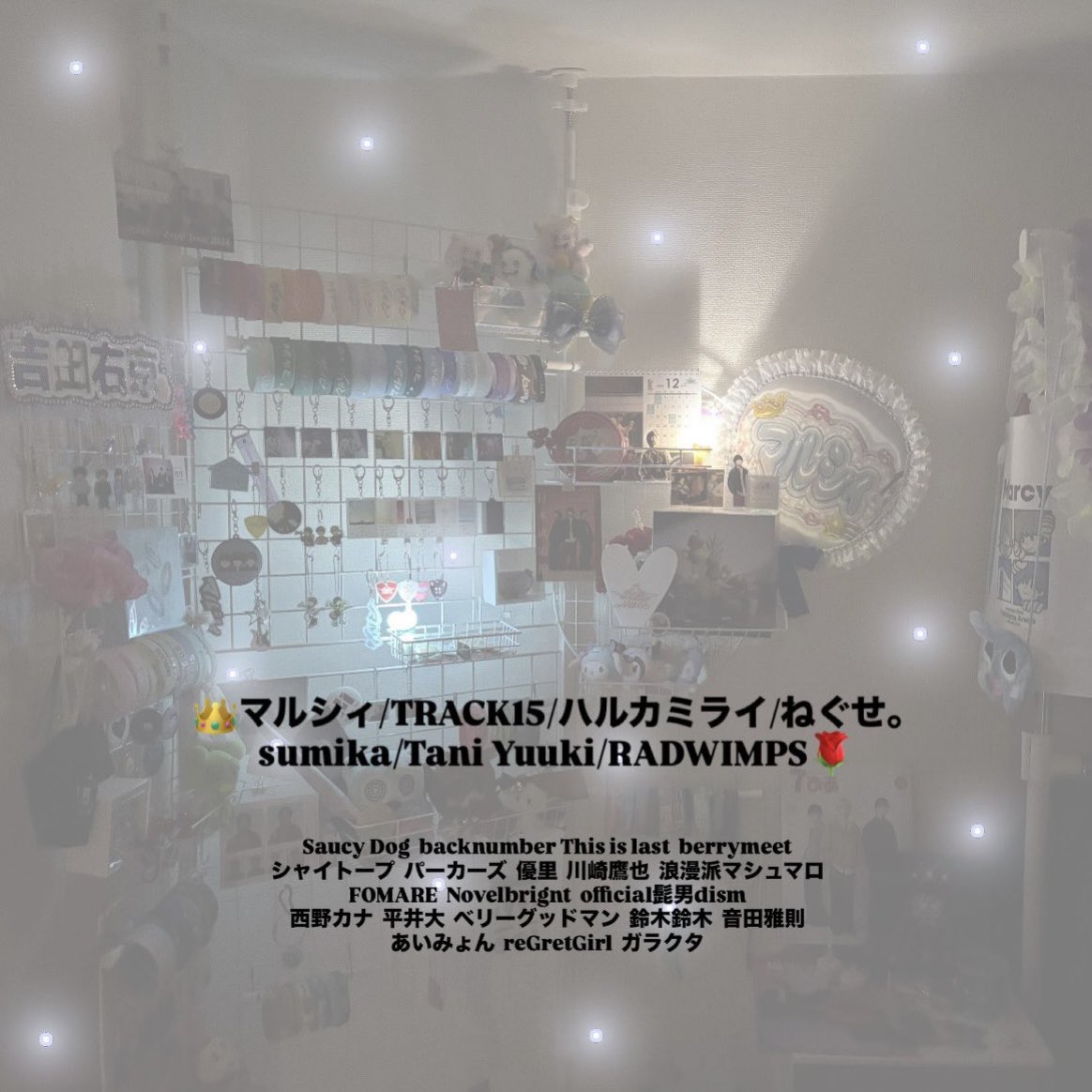 maaaii. 4/12マルシィ📍静岡🍵 tweet media