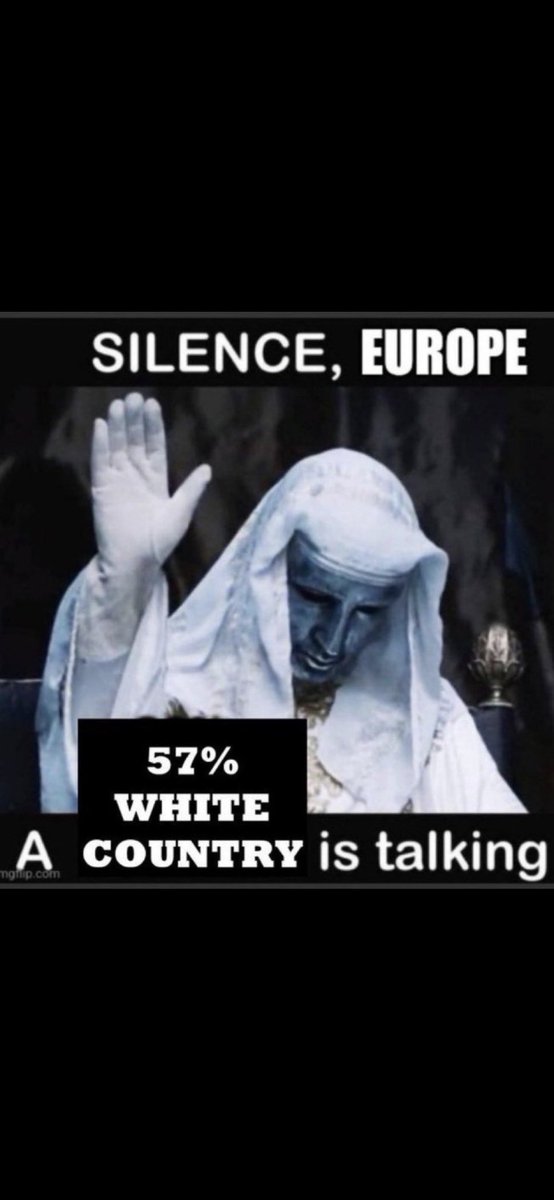 Skiryuga tweet media