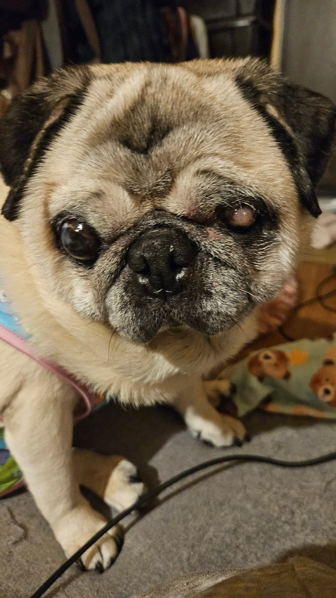 ゆか@あの子 tweet media