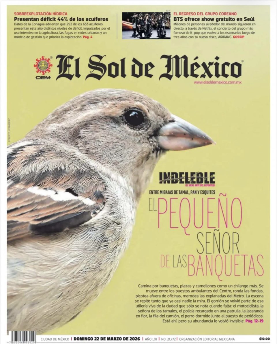 Rafael Montes tweet media