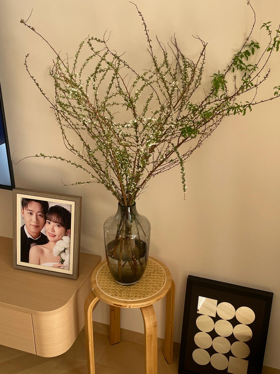 Cierra Trujillo tweet media