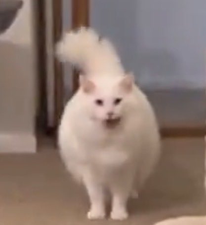 Lifeless realm tweet media