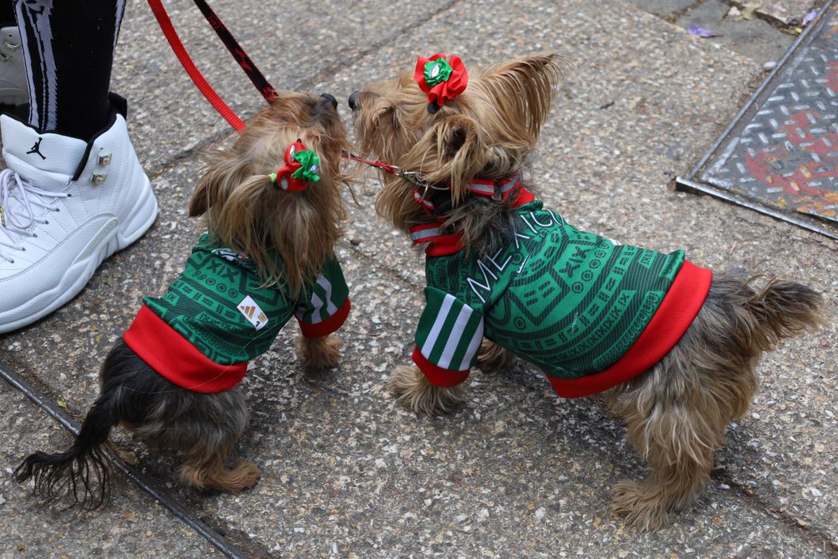 El Heraldo de México tweet media