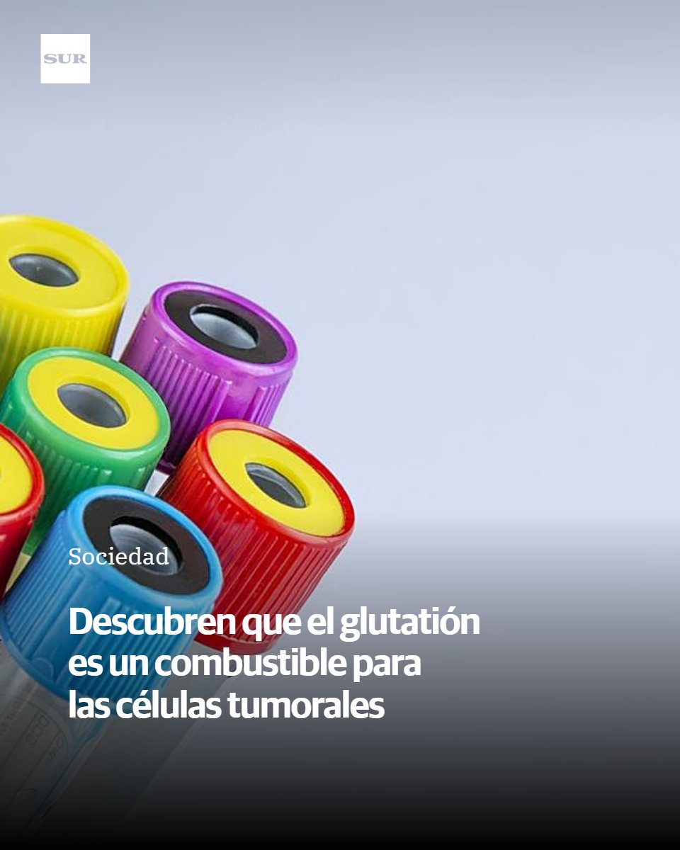 SUR. El periódico de Málaga tweet media