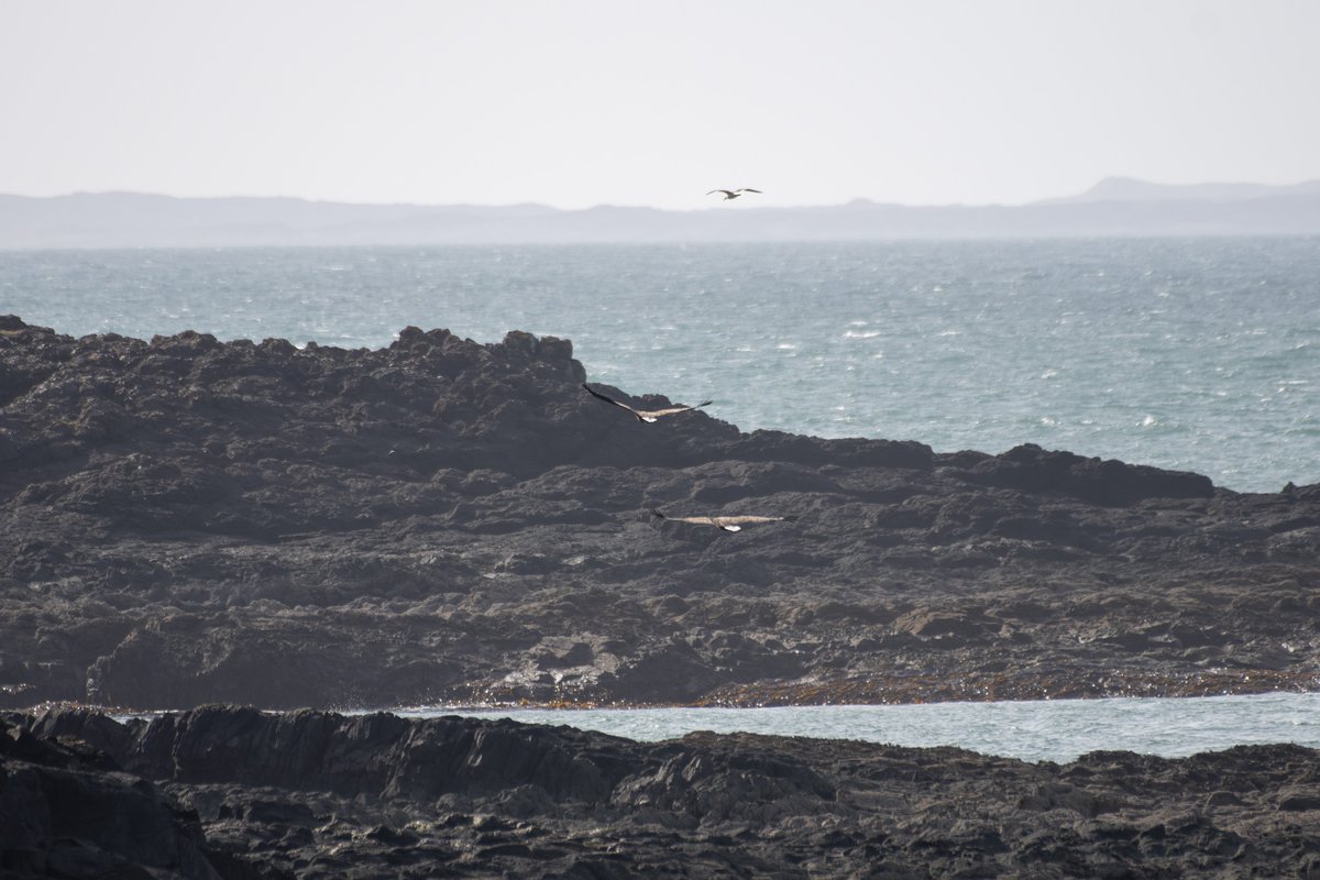 Dave Edwards jft97 🇺🇦 💙⭐⭐⭐⭐⭐⭐ 🇪🇺 tweet media