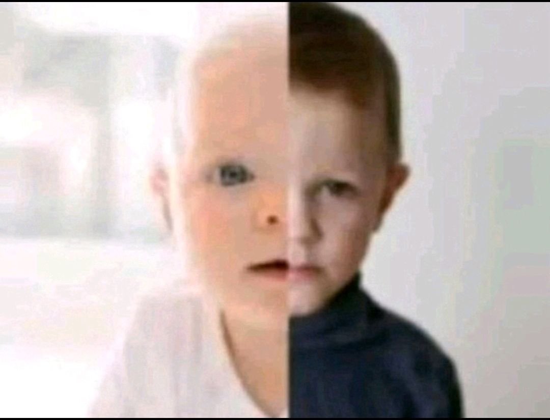 Leftzada tweet media