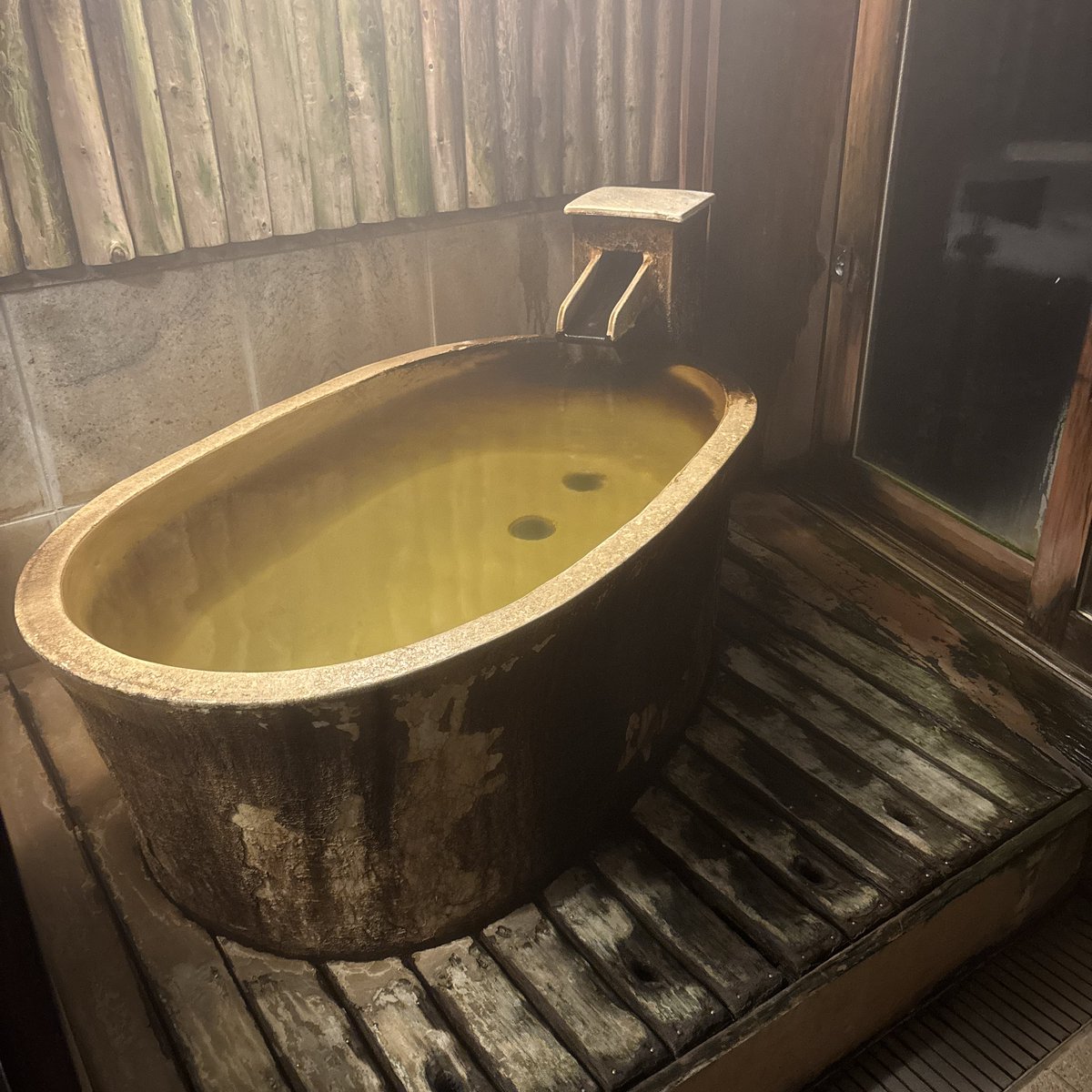 辛抱キャット tweet media