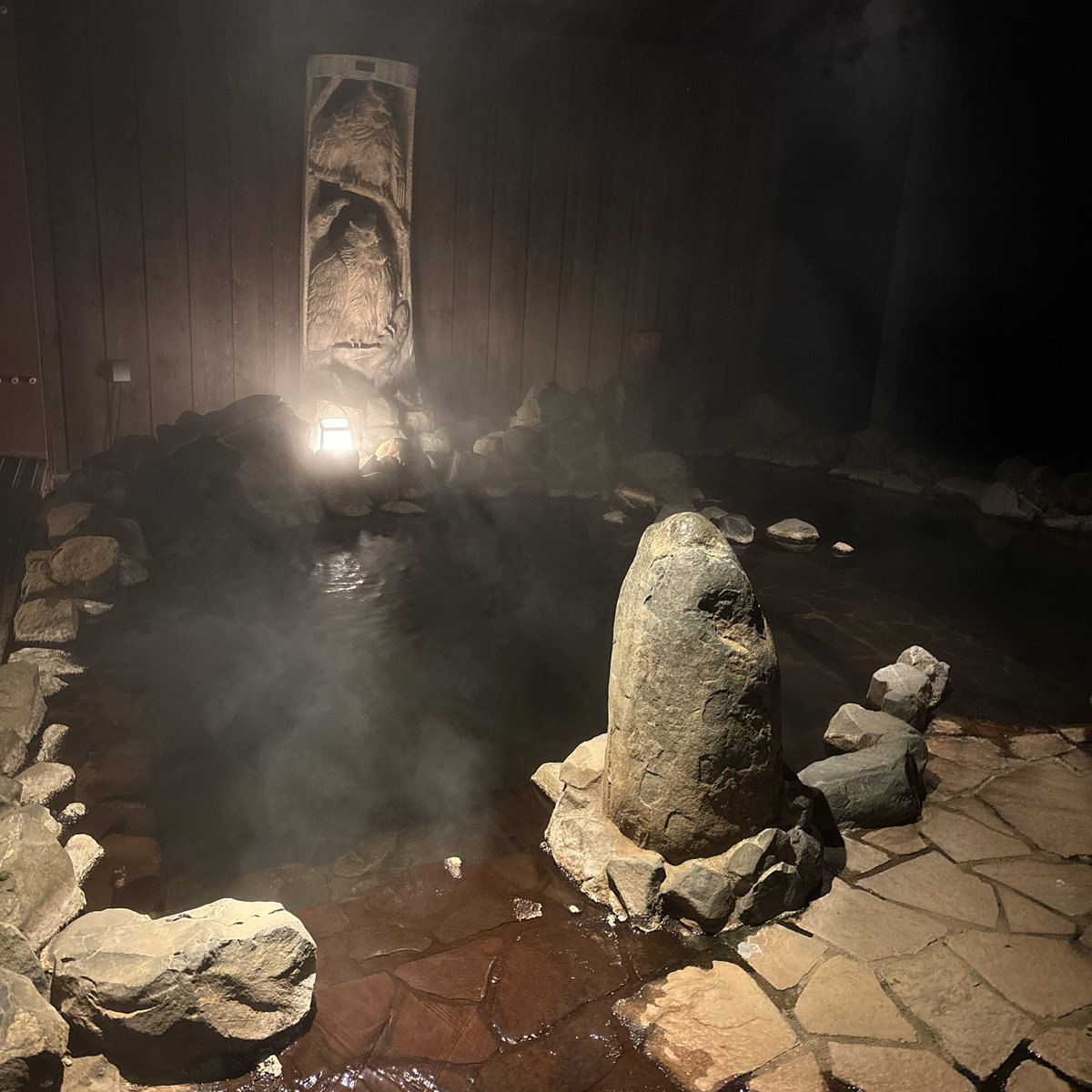 辛抱キャット tweet media