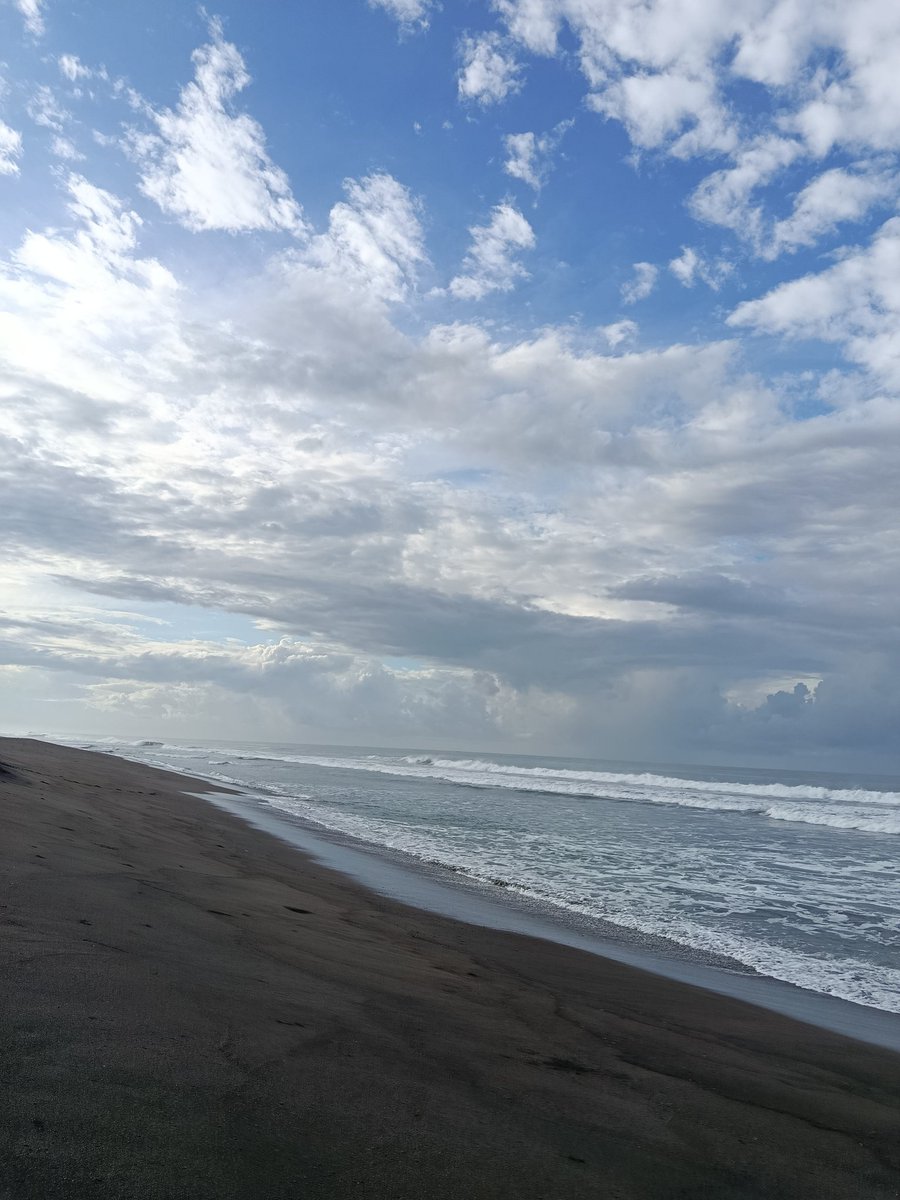 Jiggly (B)uff 🐯 tweet media