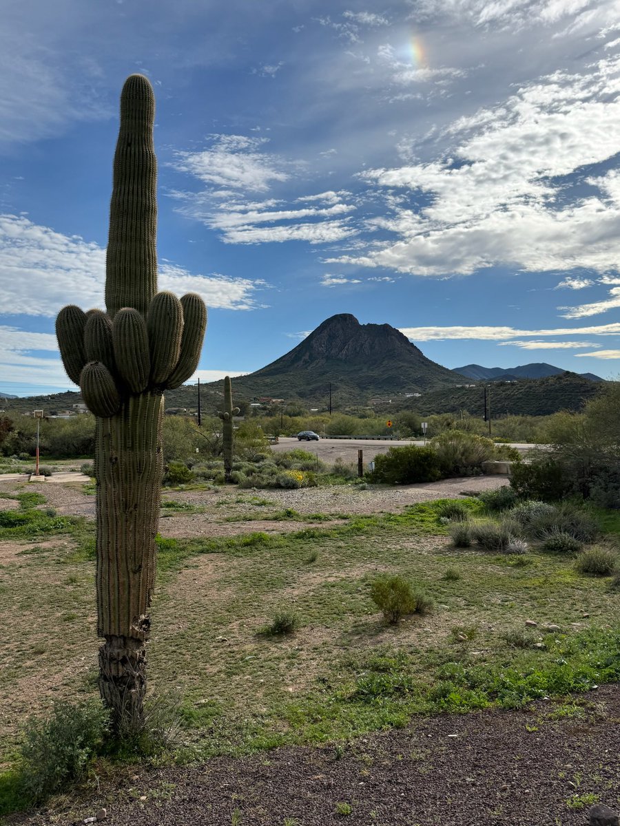 Mathias Schweighofer tweet media