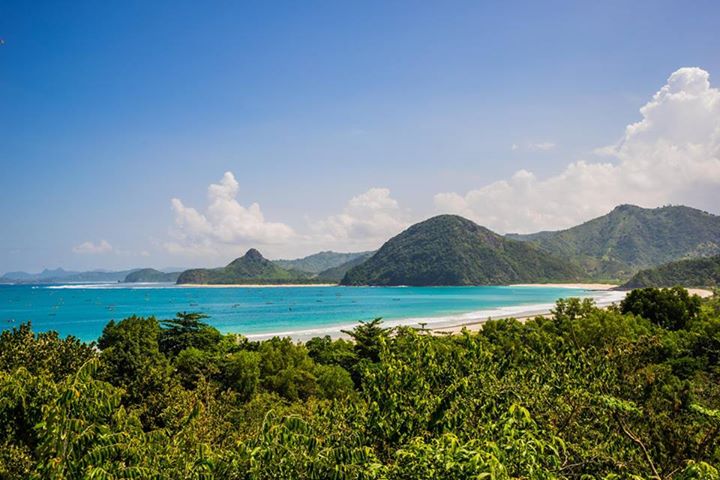 The Matthew tweet media