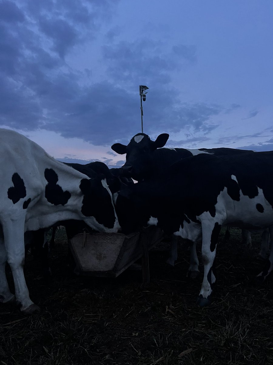 THE COWBOY🐄🤠 tweet media